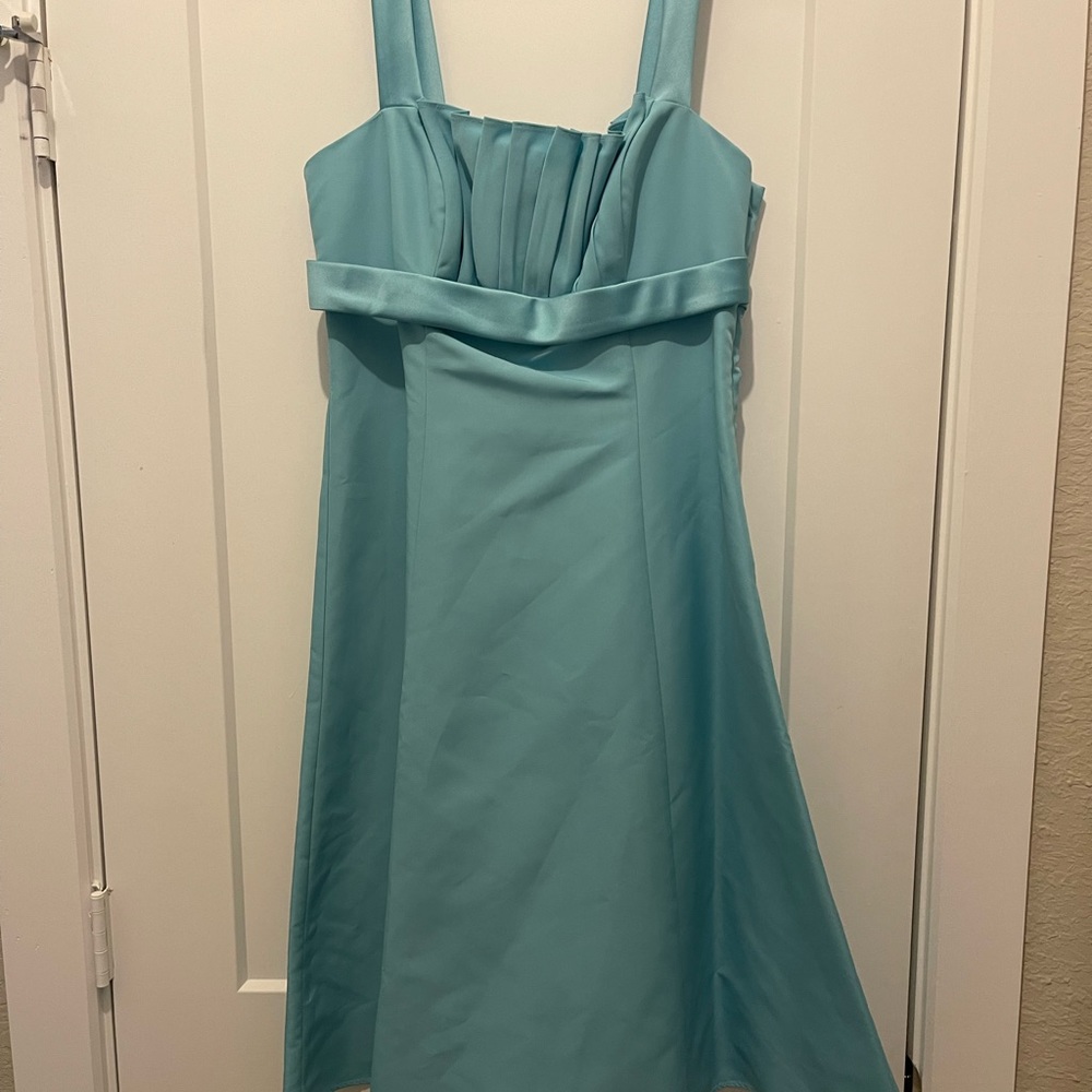 David’s Bridal, Bridesmaid dress